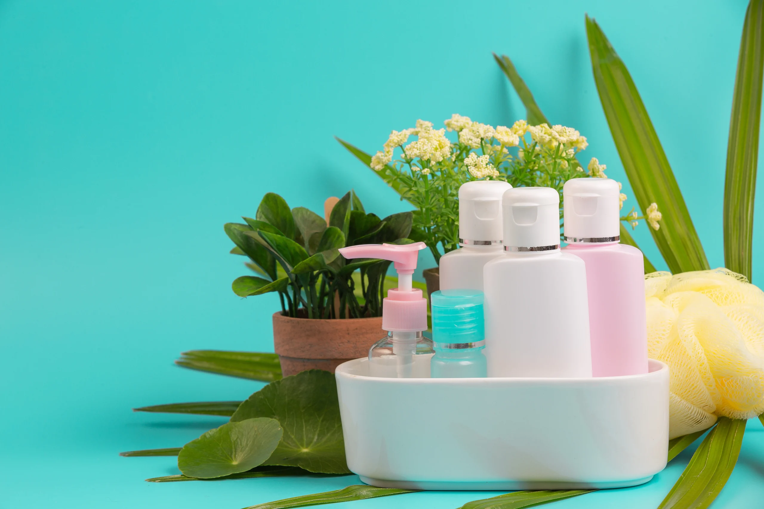health and beauty